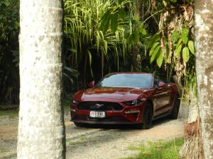Mustang Hire Cairns