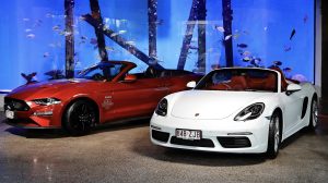 Mustang and Porsche Convertible car rental Cairns Aquarium